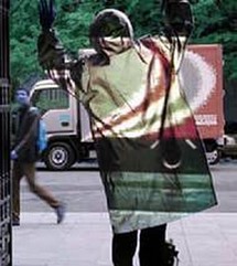 La science lève le voile sur la cape d'invisibité La science lève le voile sur la cape d'invisibité