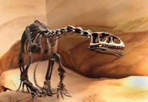 De petites empreintes découvertes près d'un ancien nid de dinosaures De petites empreintes découvertes près d'un ancien nid de dinosaures