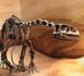 De petites empreintes découvertes près d'un ancien nid de dinosaures