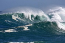Des océans "malades" du réchauffement Des océans "malades" du réchauffement