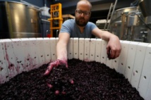 Des "chais urbains" fabriquent du vin en plein Paris Des "chais urbains" fabriquent du vin en plein Paris