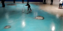 Au Japon, haro sur une patinoire avec vue sur 5.000 poissons congelés Au Japon, haro sur une patinoire avec vue sur 5.000 poissons congelés