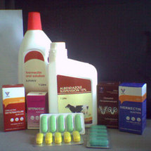 Une campagne pour dédramatiser le dépistage du cancer colorectal Une campagne pour dédramatiser le dépistage du cancer colorectal