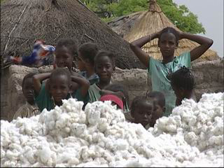 1.000 tonnes de coton bio africain pour l'industrie textile en France