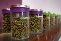 Le marché du cannabis en pleine croissance aux Etats-Unis Le marché du cannabis en pleine croissance aux Etats-Unis