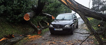 Après le passage de la tempête, 352.000 foyers toujours privés d'électricité