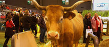 Le Salon de l'agriculture se met au vert Le Salon de l'agriculture se met au vert