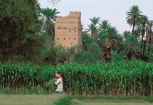 Excursion sur les sommets de l’Arabie Heureuse