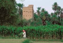 Excursion sur les sommets de l’Arabie Heureuse Excursion sur les sommets de l’Arabie Heureuse