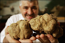 Les truffes algériennes acquièrent une renommée internationale Les truffes algériennes acquièrent une renommée internationale