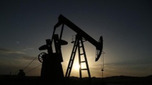 L’OPEP prolonge de 9 mois ses quotas de production