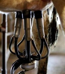 La filière laitière conclut un accord à l'arraché La filière laitière conclut un accord à l'arraché