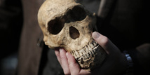 Homo sapiens: notre espèce 100.000 ans plus vieille qu'estimé jusqu'ici