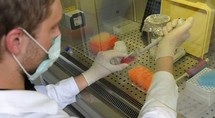 Vaccins A/H1N1 : les négociations avec les laboratoires bientôt finalisées