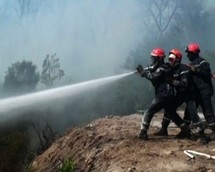 En Corse-du-Sud, les pompiers tentent de prendre le vent de vitesse