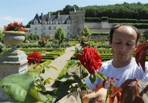 Les célèbres jardins de Villandry, en Touraine, passent "au vert"