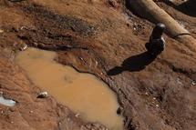 COR - Oxfam alerte sur la sécheresse en Afrique de l'Est COR - Oxfam alerte sur la sécheresse en Afrique de l'Est