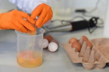 Des produits contaminés au fipronil rendus publics Des produits contaminés au fipronil rendus publics