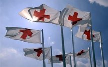 Tchad: un employé français du CICR enlevé par des hommes armés (Croix-Rouge) Tchad: un employé français du CICR enlevé par des hommes armés (Croix-Rouge)
