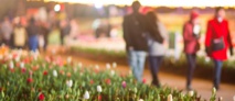 Floriade 2017: Un million de fleurs pour célébrer l’arrivée du printemps à Canberra