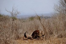 Réchauffement climatique: en Afrique, c'est déjà demain Réchauffement climatique: en Afrique, c'est déjà demain