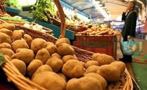 Bruxelles autorise la culture d'une pomme de terre OGM