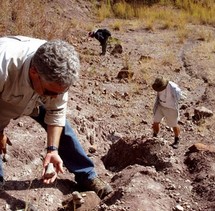 Des vieux cousins des dinosaures exhumés en Tanzanie