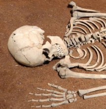Un type d'hominidé révèle l'existence d'une lignée disparue d'ancêtres de l'Homme