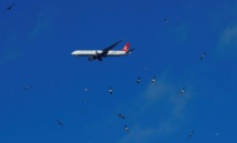 Turkish Airlines veut acheter 30 Airbus et 30 Boeing