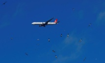 Turkish Airlines veut acheter 30 Airbus et 30 Boeing Turkish Airlines veut acheter 30 Airbus et 30 Boeing