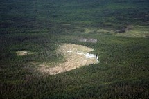 Le Parc national Wood Buffalo