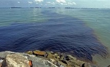 Fermeture de plusieurs plages à Singapour à cause d'une marée noire Fermeture de plusieurs plages à Singapour à cause d'une marée noire