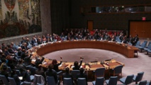 Conseil de sécurité : Projet de résolution russe pour l’envoi d’experts à Douma