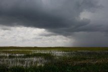 Le parc américain des Everglades jugé en péril par l'Unesco Le parc américain des Everglades jugé en péril par l'Unesco