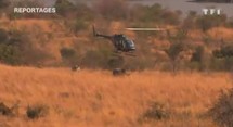 "Charlotte, une véto dans la savane" : une vie dédiée à la faune sauvage "Charlotte, une véto dans la savane" : une vie dédiée à la faune sauvage