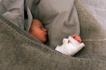 Une radio croate à la recherche des "bébés de la Saint-Valentin" Une radio croate à la recherche des "bébés de la Saint-Valentin"