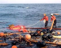 Japon: un chien dérivant en mer secouru 21 jours après le tsunami Japon: un chien dérivant en mer secouru 21 jours après le tsunami