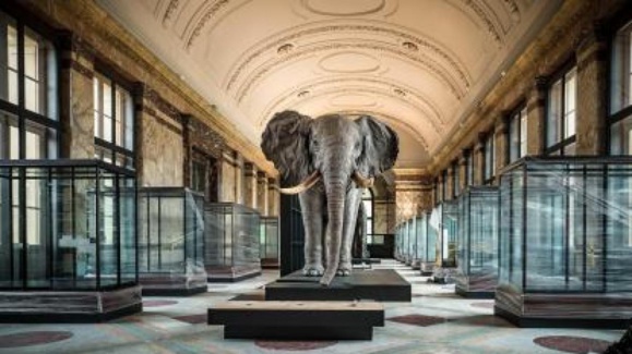 La Belgique rouvre son musée de l'Afrique, hanté par le colonialisme