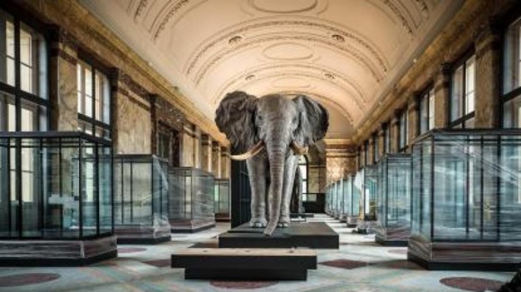 La Belgique rouvre son musée de l'Afrique, hanté par le colonialisme La Belgique rouvre son musée de l'Afrique, hanté par le colonialisme