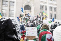 Canada: Manifestation à Montréal contre le 5e mandat de Bouteflika