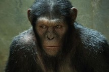 "La Planète des singes" conserve la tête du box-office nord-américain "La Planète des singes" conserve la tête du box-office nord-américain