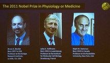 Médecine: Le Nobel à trois chercheurs sur le système immunitaire Médecine: Le Nobel à trois chercheurs sur le système immunitaire