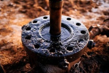 Niger: la plus grande réserve naturelle d'Afrique menacée par l'exploitation pétrolière Niger: la plus grande réserve naturelle d'Afrique menacée par l'exploitation pétrolière