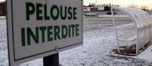 Grand froid : huit nouveaux morts en Pologne Grand froid : huit nouveaux morts en Pologne
