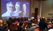 Le Nobel de médecine distingue trois spécialistes de l'oxygénation des cellules Le Nobel de médecine distingue trois spécialistes de l'oxygénation des cellules