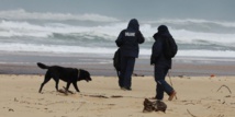 Cocaïne: comment expliquer la marée blanche sur les plages françaises ?