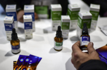 Du cannabis à usage médical dans les pharmacies au Brésil Du cannabis à usage médical dans les pharmacies au Brésil