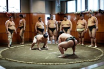Le sumo, un sport des plus japonais aux protagonistes bien particuliers