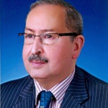 Mohamed el-Ikhsassi