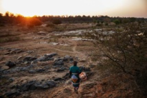 Dans les campagnes sud-africaines, ce très lointain coronavirus...